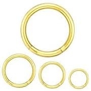 SEGMENT RING GOLD  1,2 und 1,6mm